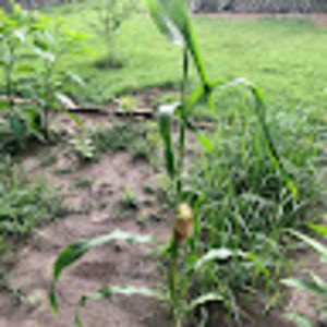 Meet your Posher, A.